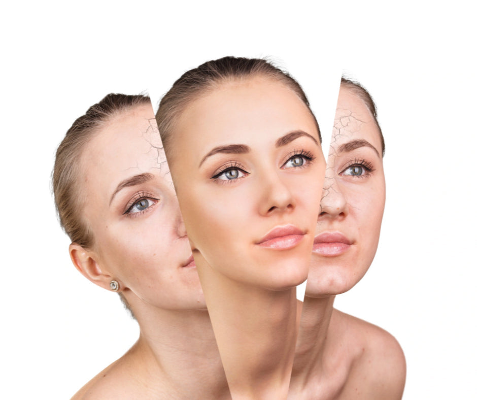 Woman representing research into mitochondria and healthy aging