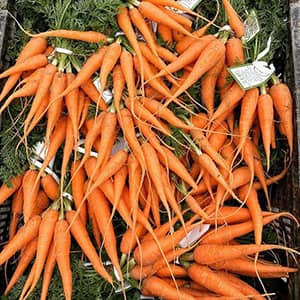 Carrot and Skin Care
