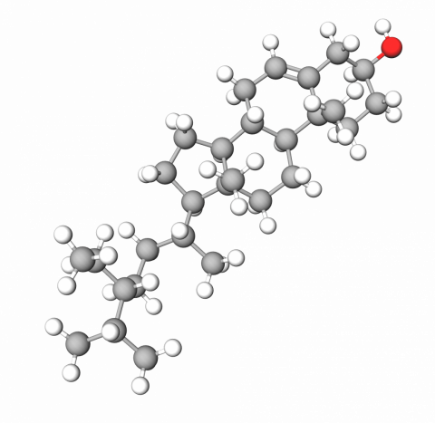 Beta-Sitosterol | Skincare ingredient | Skin care products