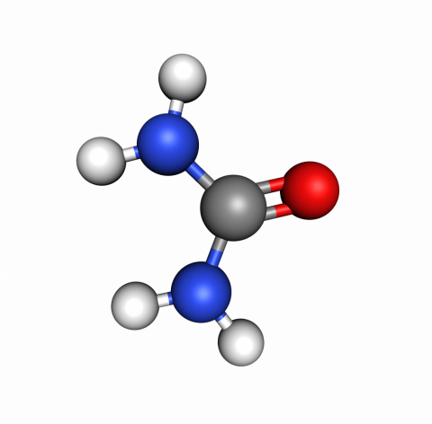 Urea | Skincare ingredient | Skin care products