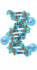 Triple DNA - Sodium, Magnesium, and Calcium salts of DNA.