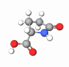 2-pyrrolidone-5-carboxylic acid